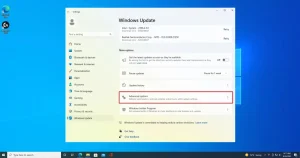 Windows 11 optional updates: should you install?
